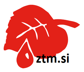 ztm logo